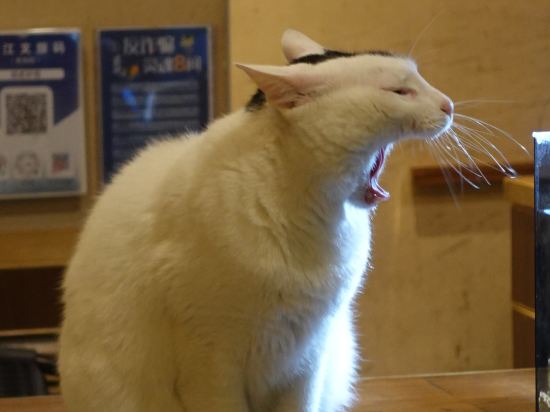 紹興拾貳樸宿優惠