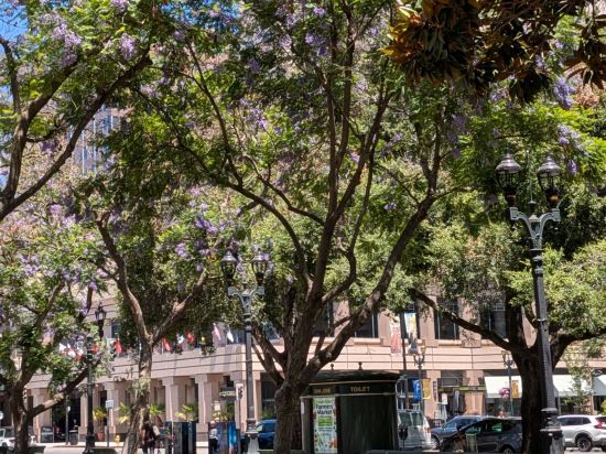 森尼維耳科珀裡特飯店優惠