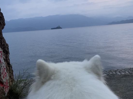 寧蒗八月初八瀘沽緣客棧優惠