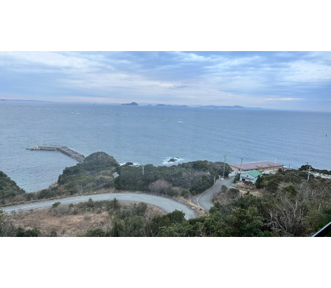 新八屋 クーポン