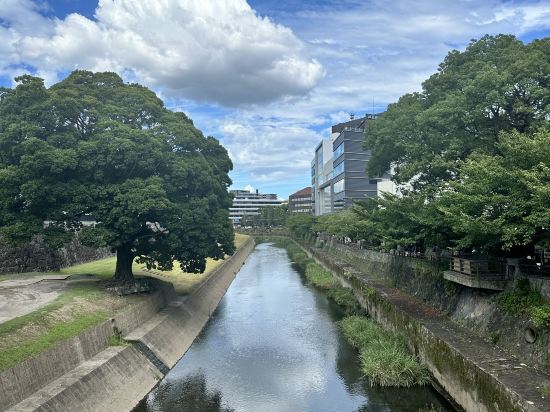 ダイワロイネットホテル熊本銀座通り クーポン