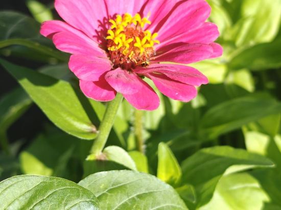 多倫吉嘉賓館優惠