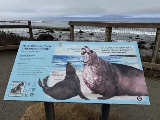 聖西蒙摩根酒店優惠