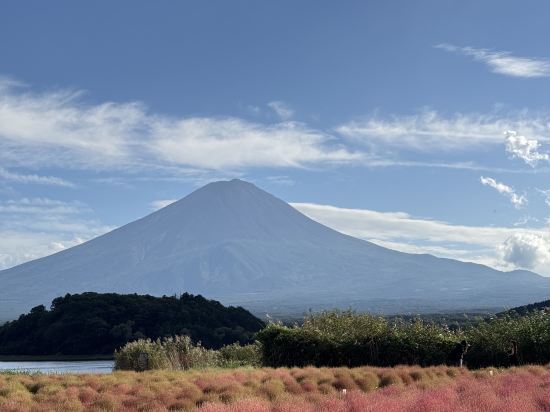 富士レークホテル クーポン