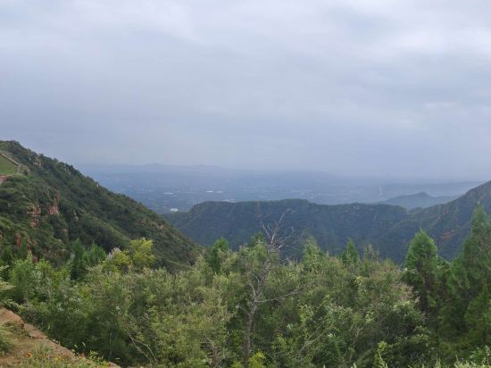 西安灃東希爾頓逸林酒店優惠