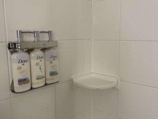 洛杉磯 - 洛杉磯國際機場假日酒店優惠