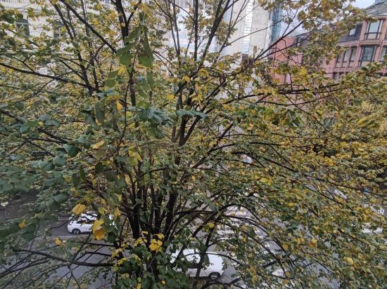 法蘭克福中央車站舒適酒店優惠