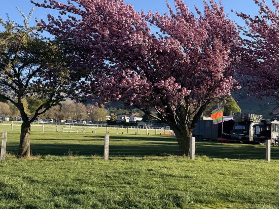 特卡波湖胡椒藍水精品度假屋優惠