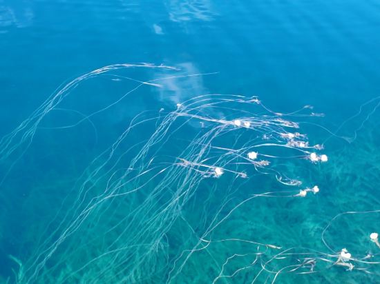 瀘沽湖青山青旅優惠