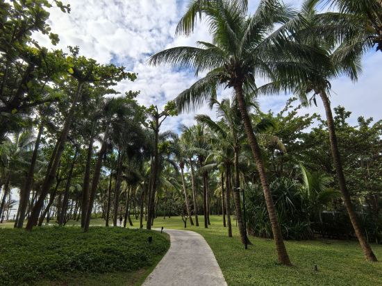 三亞艾迪遜酒店優惠