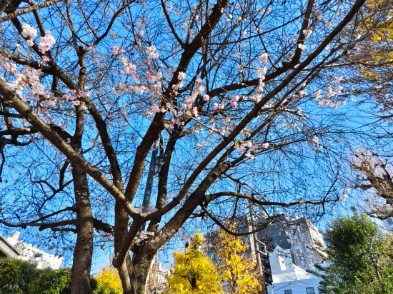 MYSTAYS 淺草橋酒店優惠