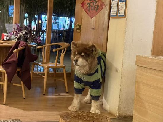 瀘沽湖晏坐湖景清奢民宿（大落水村店）優惠