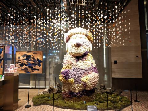 Grand Hyatt Jeju優惠