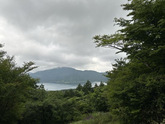 ホテルグリーンプラザ箱根 クーポン