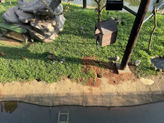 關西六福莊生態度假旅館優惠