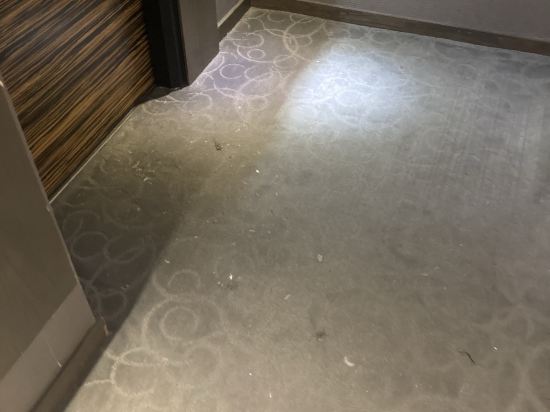 花蓮力麗華美達安可酒店優惠