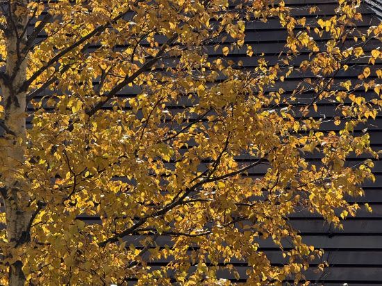 星野集團 Tomamu the Tower優惠