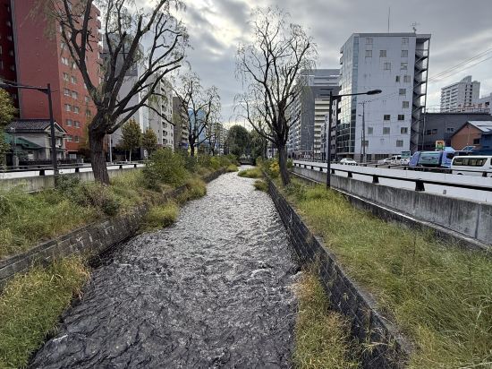 大和Roynet酒店札幌薄野優惠