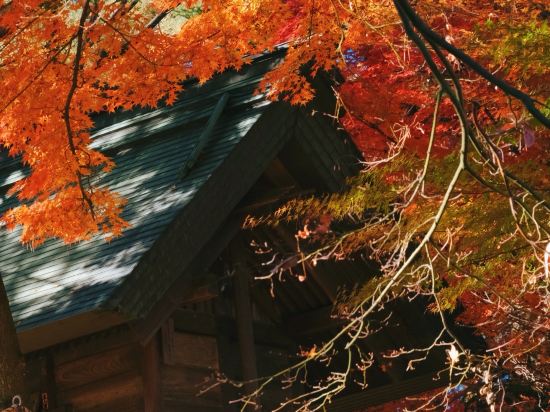 河口湖酒店優惠