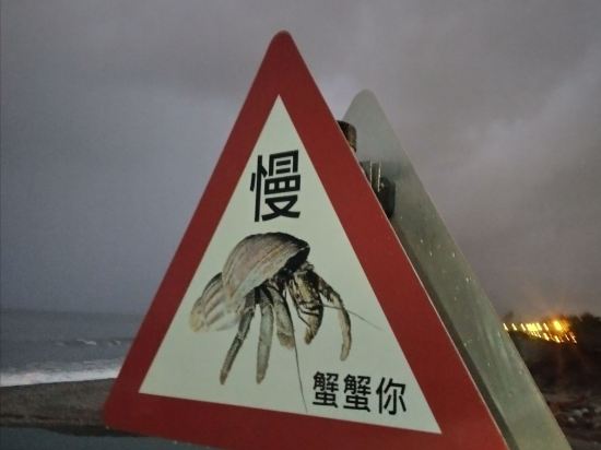 花蓮麗星大飯店優惠