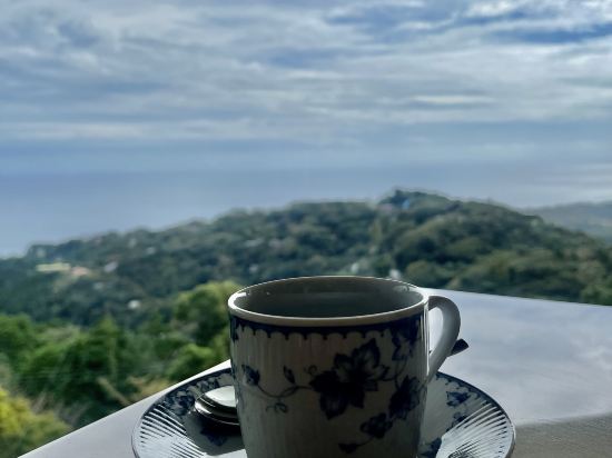 Izu Hotel Resort & Spa クーポン