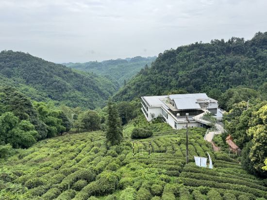 邛崍竹上花楸民宿優惠