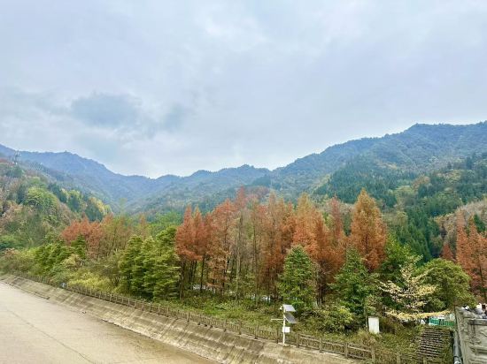 花水灣第一村温泉大酒店優惠