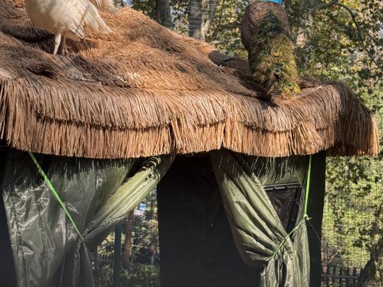 杭州千禧度假酒店優惠