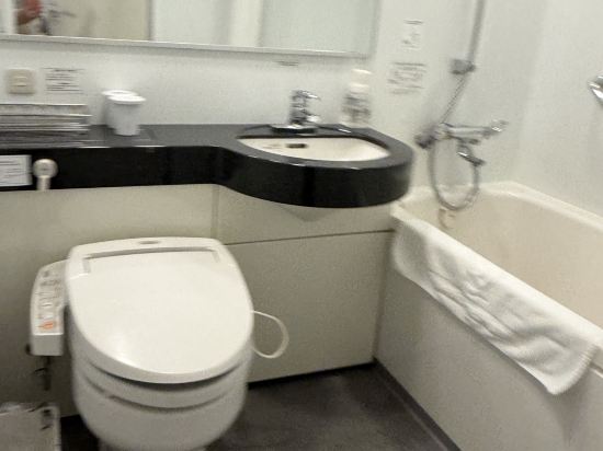 大和Roynet飯店-岡山站前優惠