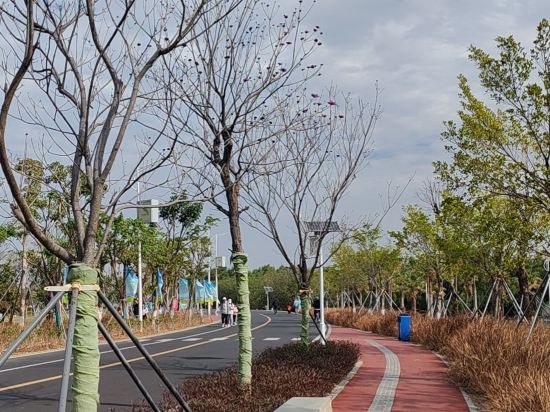 廣州南沙花園酒店優惠