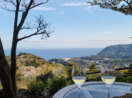 Izu Hotel Resort & Spa クーポン