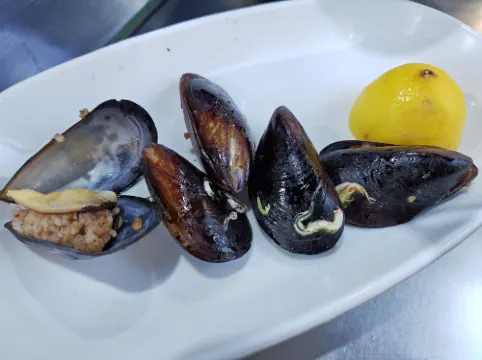 Vicolo Moda Ăn uống Photos