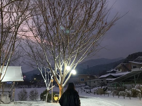 가평 위크팜글램핑펜션 쿠폰