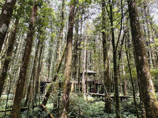 宜蘭大同明池山莊（明池森林遊樂區）優惠