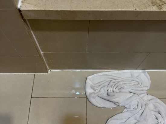 西貢馨樂庭麗晶酒店優惠