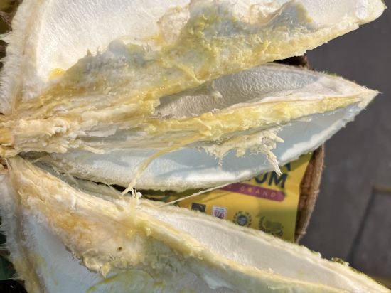 吉隆坡帝皇精品飯店優惠