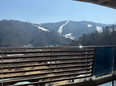 소노펠리체 비발디파크 쿠폰