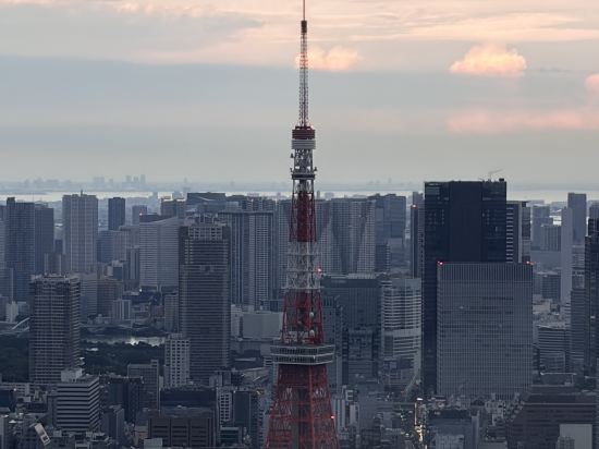 ヴィラフォンテーヌ東京茅場町 クーポン