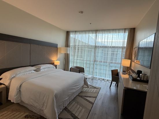 喜來登米蘭馬爾彭薩機場酒店及會議中心優惠