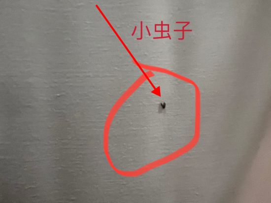 臨桂大飯店（桂林火車站店）優惠