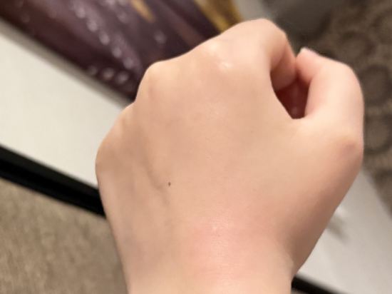 和頤至尊飯店（上海陸家嘴世博園店）優惠