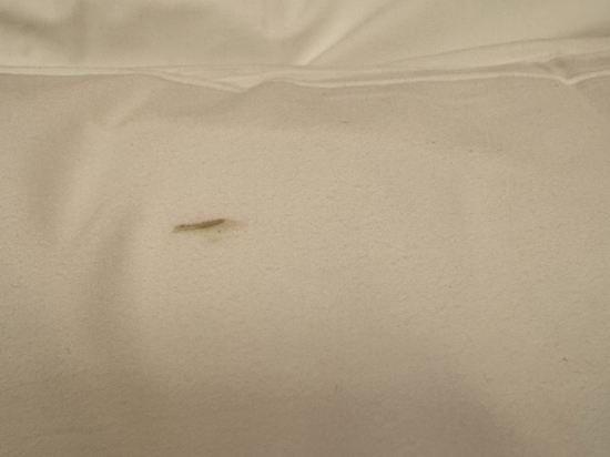 維也納酒店（河源高新一路店）優惠