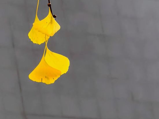 北京龍城瑞豪飯店（良鄉南關地鐵站店）優惠