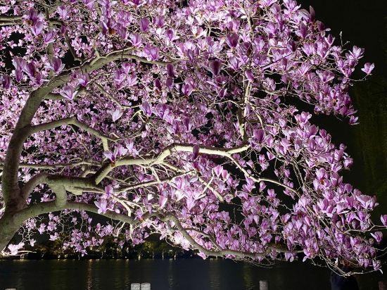 杭州西湖國賓館·西湖第一名園優惠