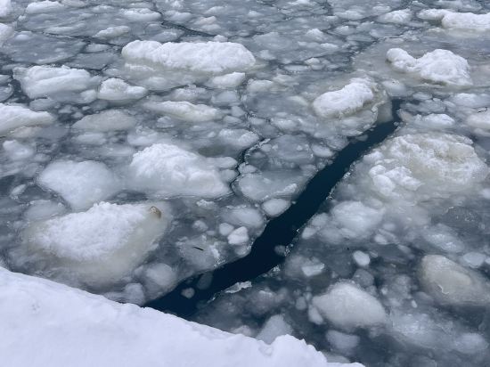 オホーツク温泉　ホテル日の出岬 クーポン