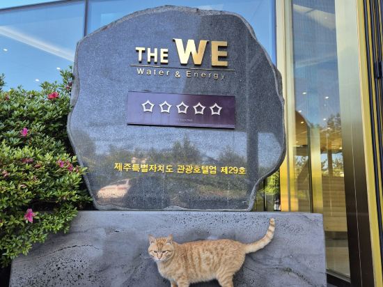 WE호텔 제주 쿠폰