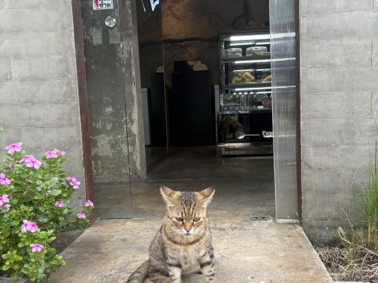 書本設計飯店優惠