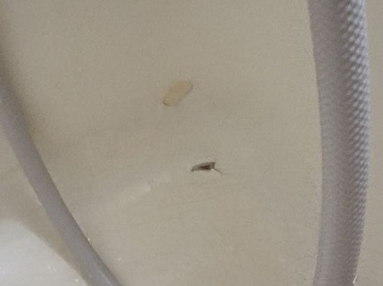 ART成田飯店優惠