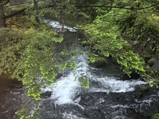 富士山温泉 ホテル鐘山苑 クーポン