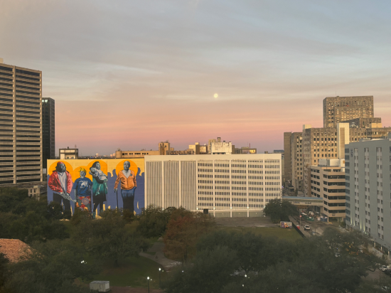 新奧爾良市區超圓屋頂體育場假日酒店優惠